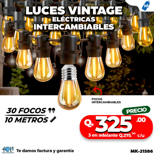 🌃🌿 LUZ VINTAGE DE 30 FOCOS | 10 METROS